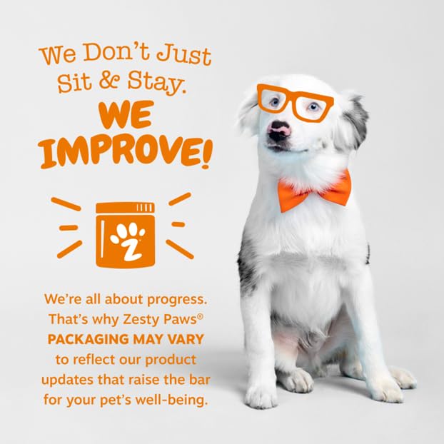 Zesty Paws dog walk activity scene illustrates daily mobility support