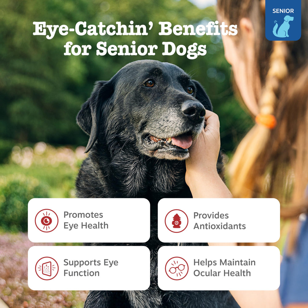 Zesty Paws soft chews close-up — convenient daily eye health support