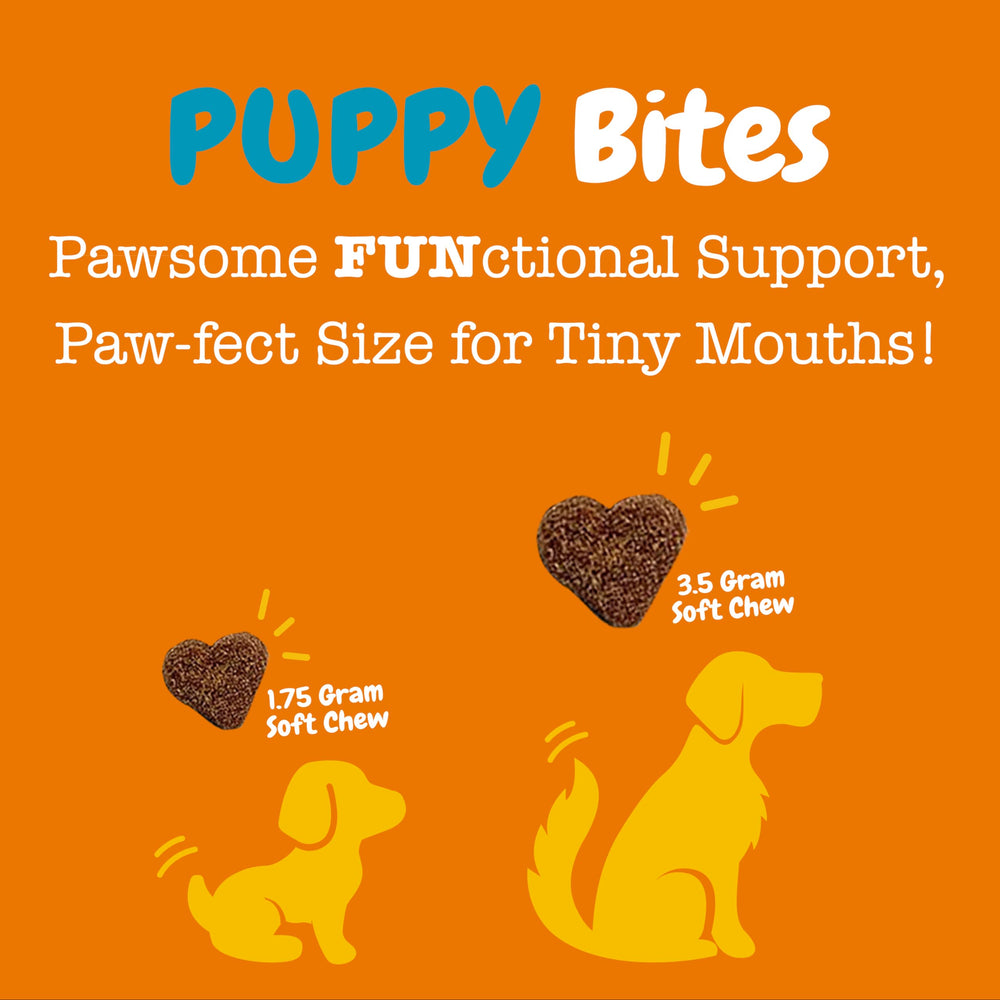 Zesty Paws Calming Chews bag with fireworks background signaling stress during celebrations.