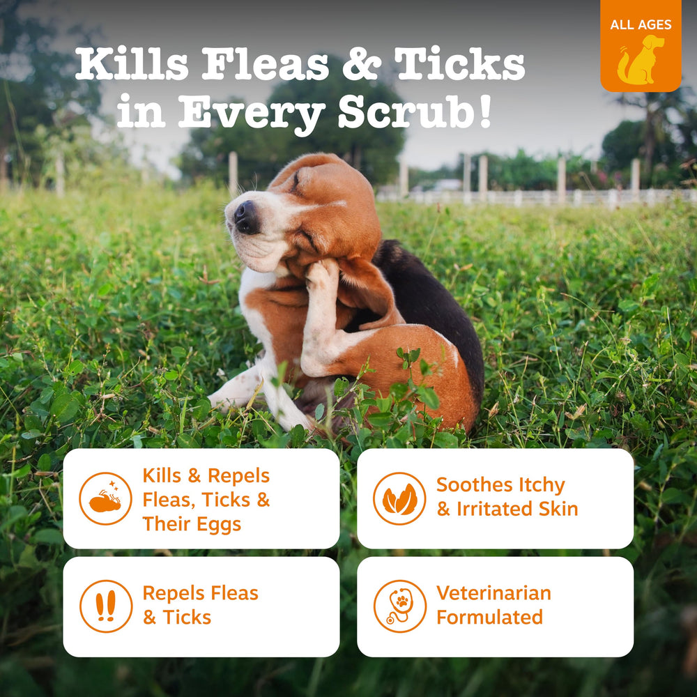 Ingredient-rich Zesty Paws formula with cedarwood, rosemary, and eugenol cleanses fleas and eggs.