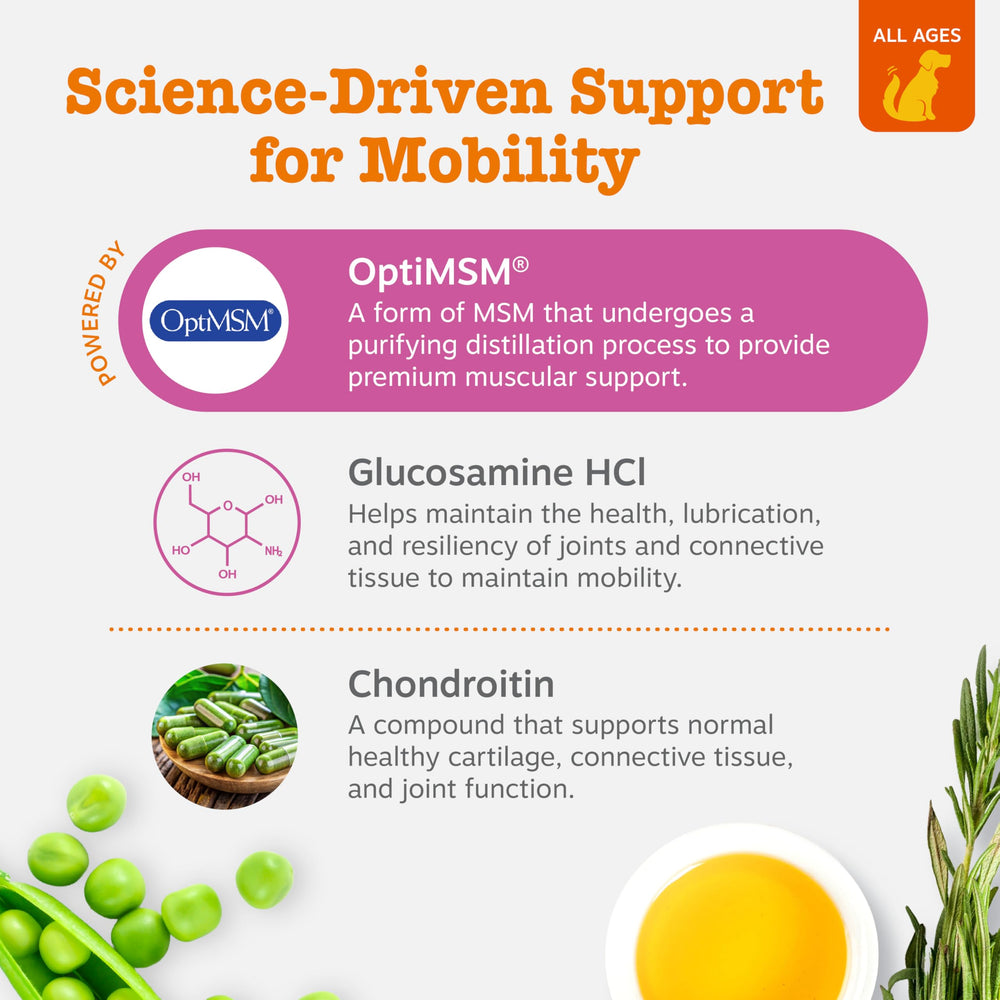 Zesty Paws Glucosamine HCl joint lubrication closeup aids movement