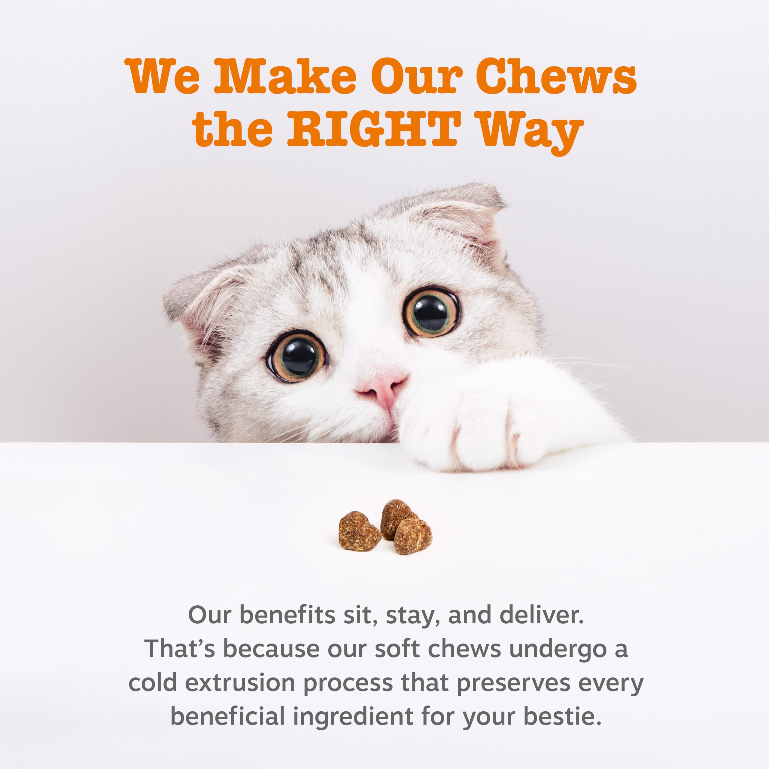Zesty Paws Hairball Bites psyllium fiber supports gut function