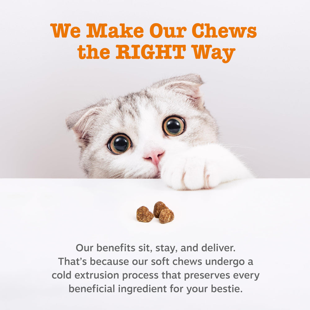 Zesty Paws Hairball Bites psyllium fiber supports gut function