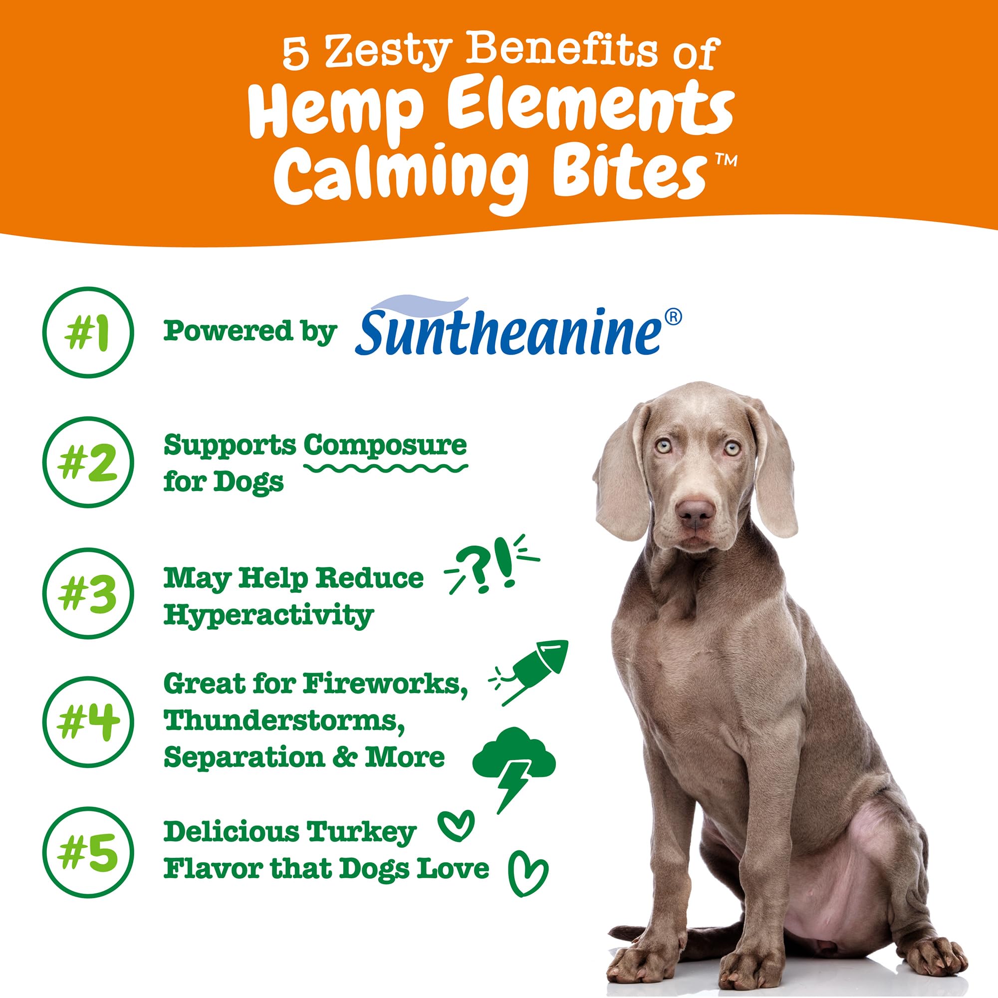 Dog smiles after chewing Zesty Paws Hemp Calming Chews suggesting mood support.