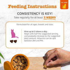 Zesty Paws Hip & Joint Bites turmeric extract image suggests healthy joint lubrication.