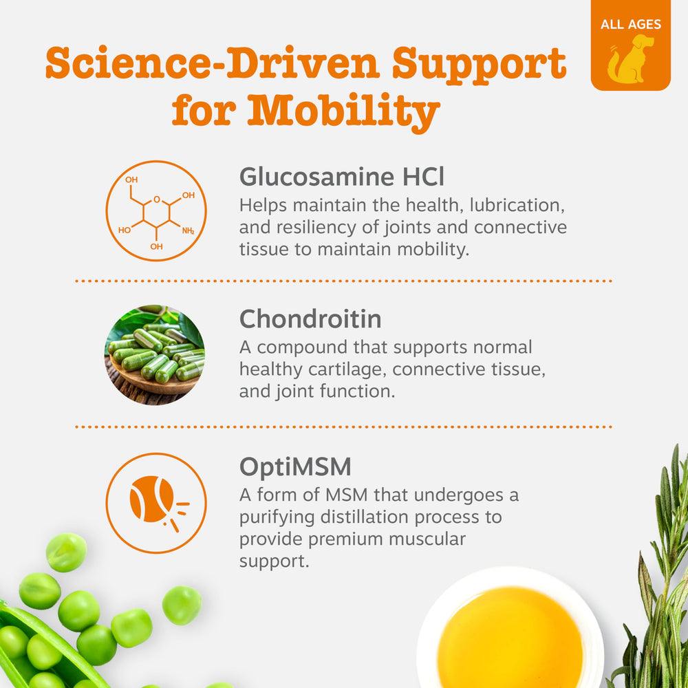 Zesty Paws hip joint chews close-up with bacon flavor during routine use.