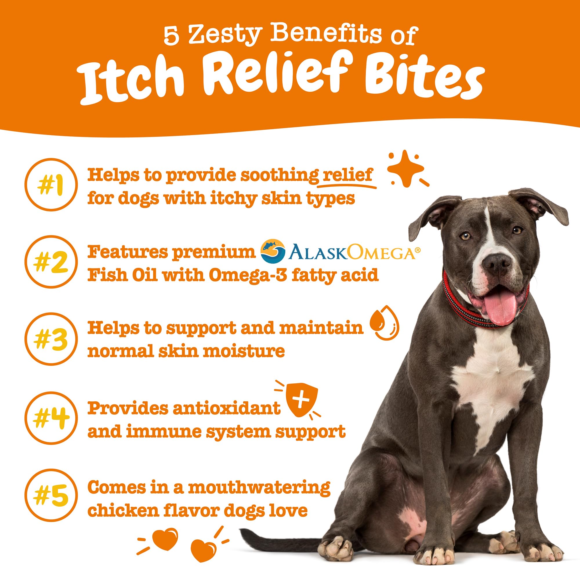 Zesty Paws Itch Relief chicken-flavor chews for soothing dog's skin.