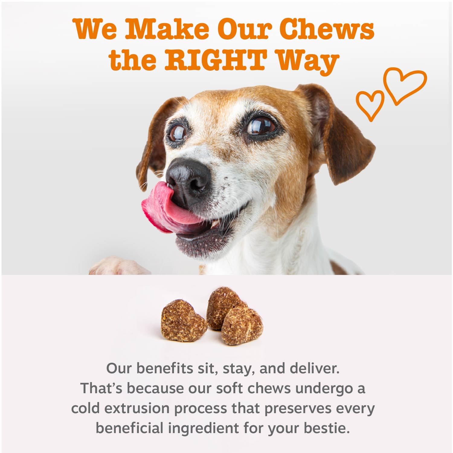 Zesty Paws Liver Support dog enjoying a chew as part of daily liver support routine
