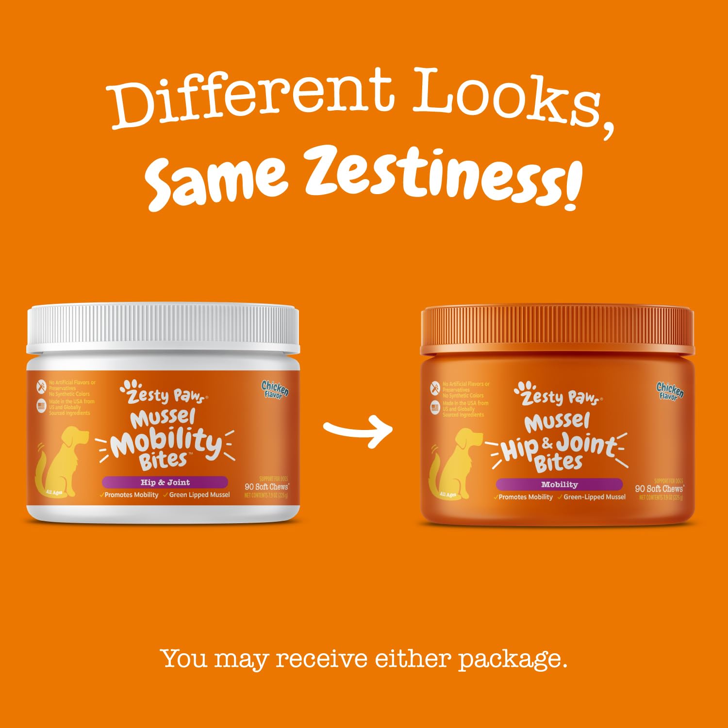 Zesty Paws Mussel Mobility Bites owner giving chews at home.