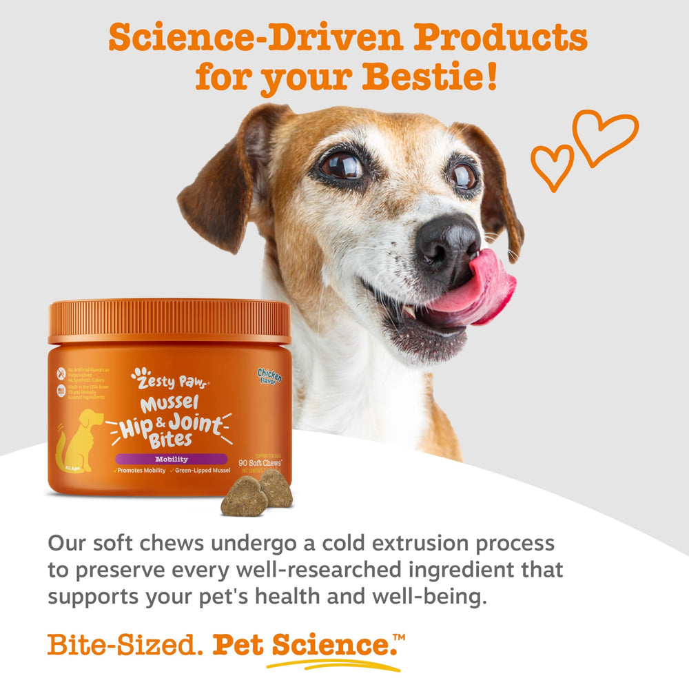 Zesty Paws Mussel Mobility Bites omega-3 rich chew closeup.