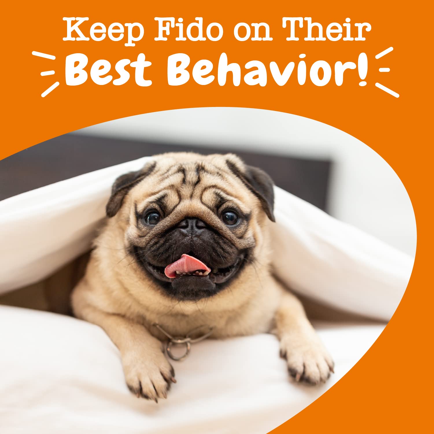 Zesty Paws OraStix chamomile and valerian root ingredient spotlight