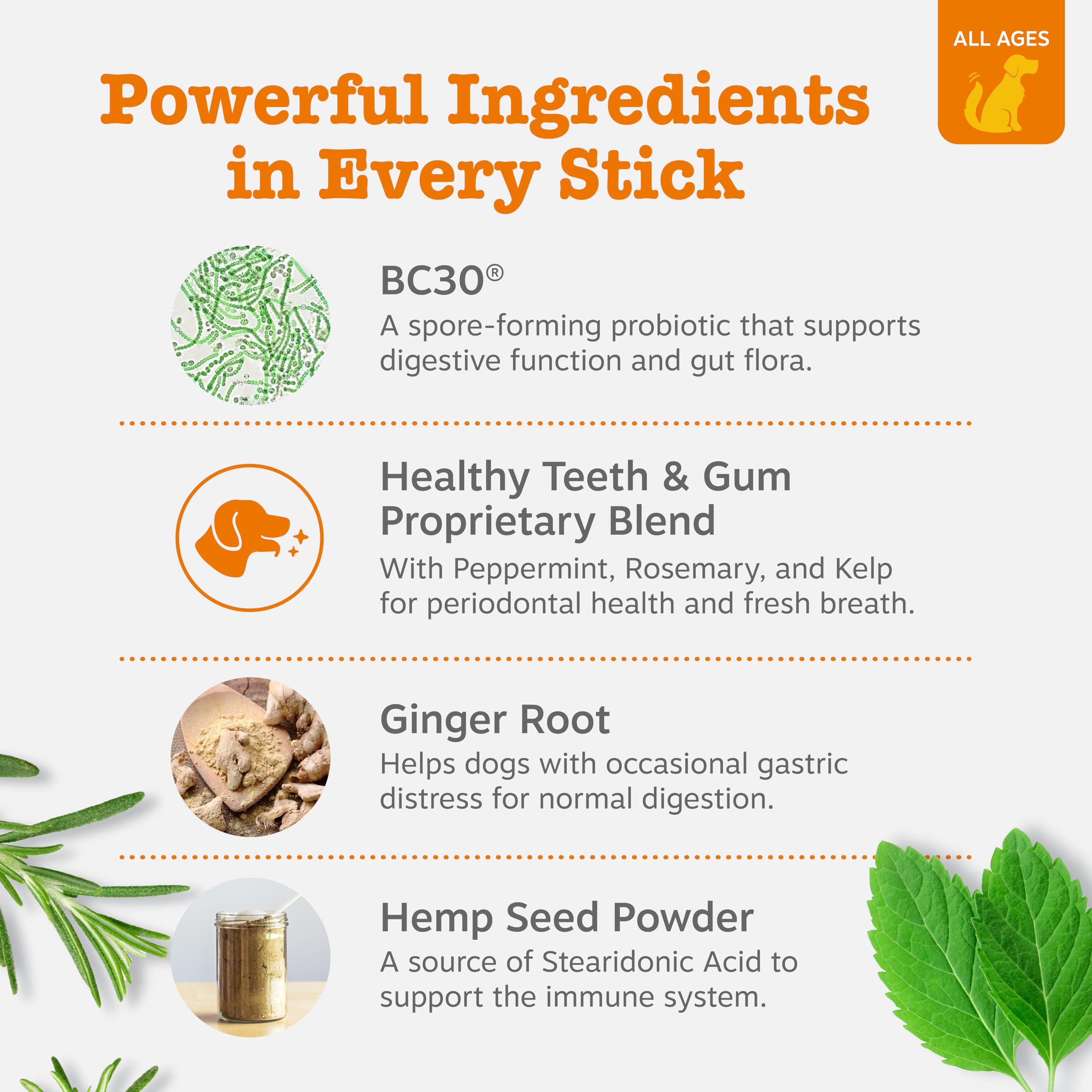 Ginger-curcumin detail emphasizes natural ingredients in OraStix.