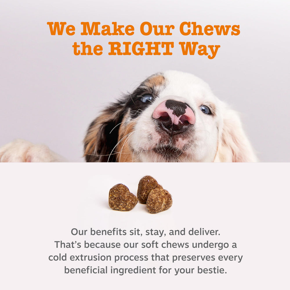 Zesty Paws Probiotic Bites immuno-support imagery suggests pet wellness benefits