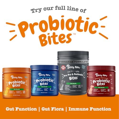 Zesty Paws Probiotics dog-immunity image implies immune-support potential.