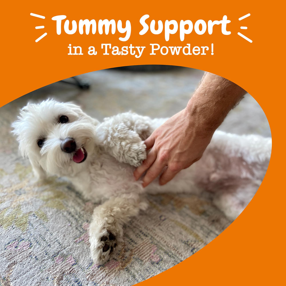 Graphic highlighting Zesty Paws immune support benefits for dogs.