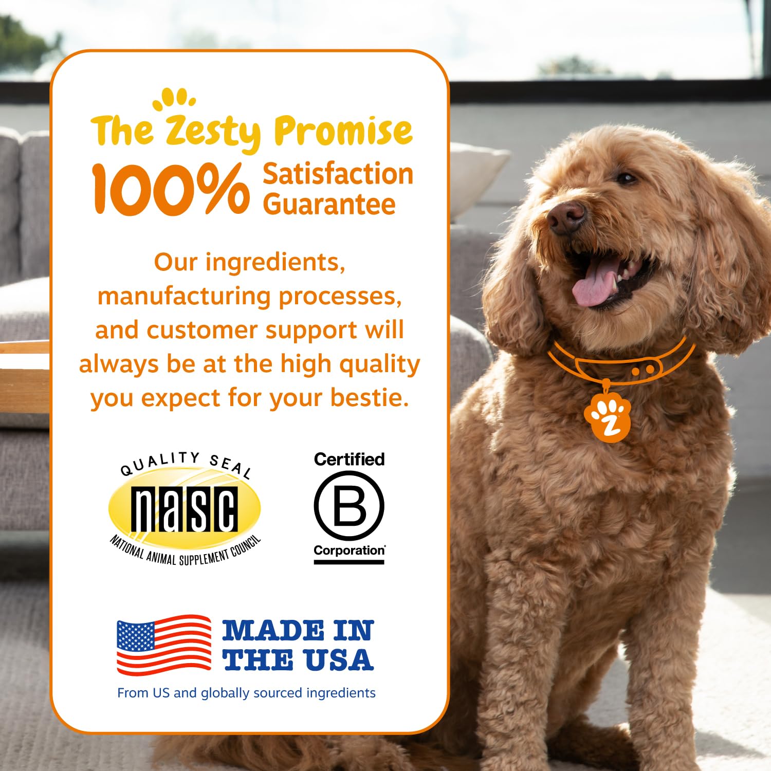 Zesty Paws probiotics for dogs pumpkin-papaya ingredients image highlights natural gut-friendly components.