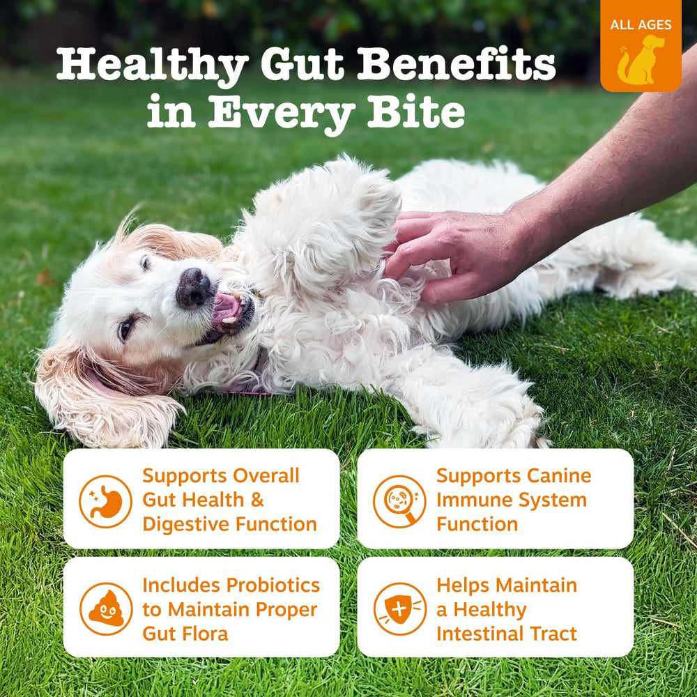 Zesty Paws Probiotics for Dogs serving bowl with chew-ready format.
