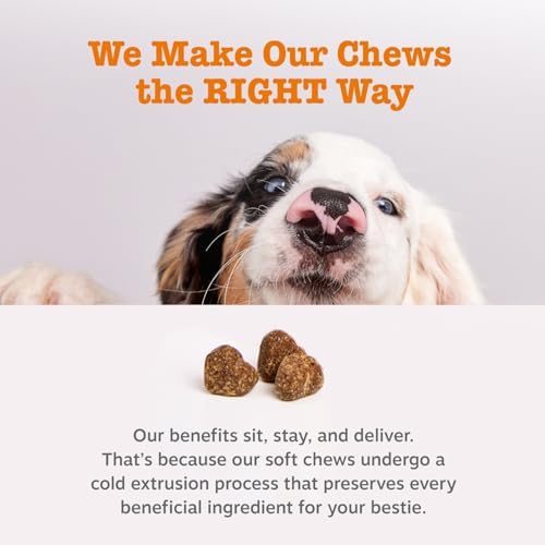 Zesty Paws Probiotics mealtime snack shows convenient daily addition.