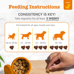 Zesty Paws Puppy Probiotics in a bowl signals daily immune support.