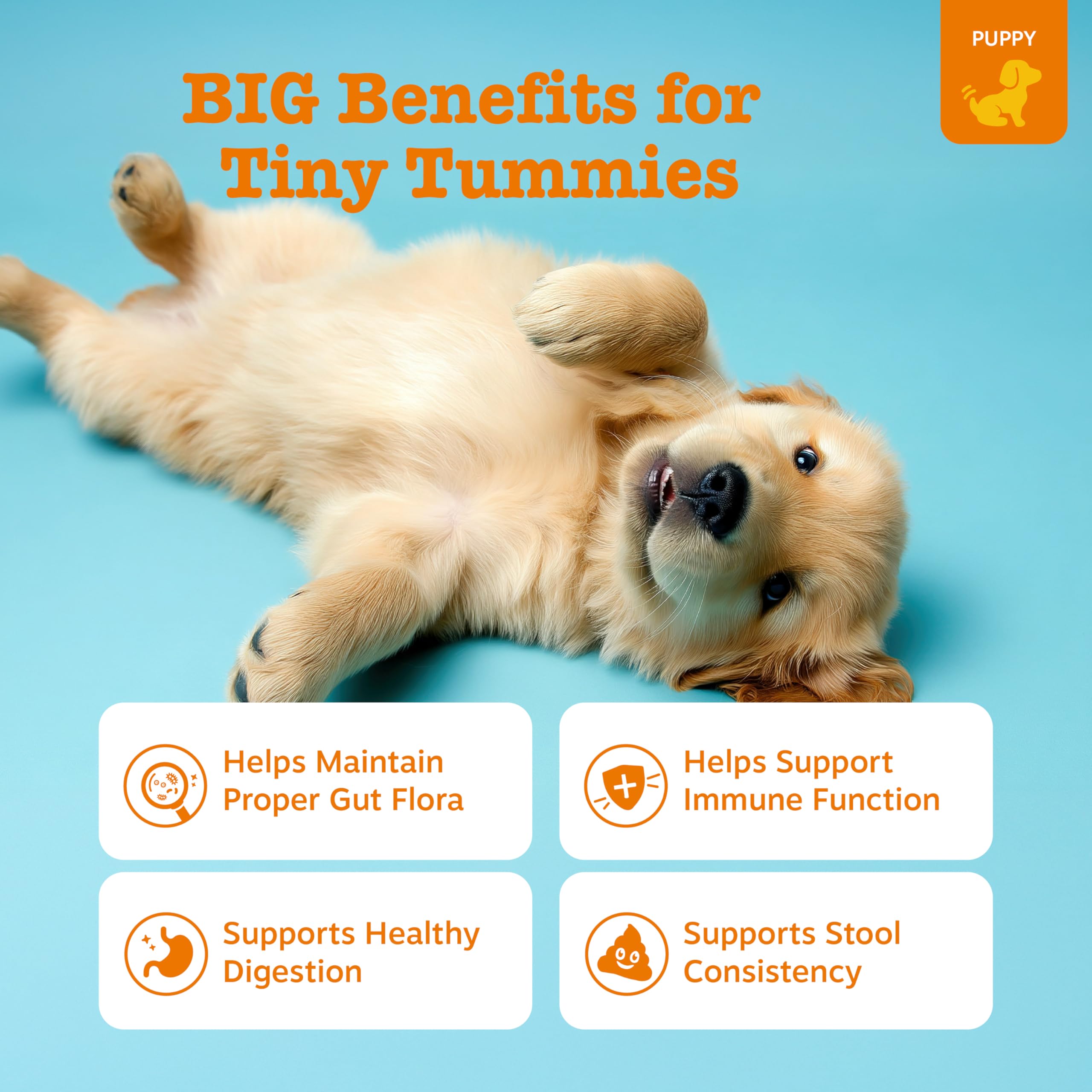 Zesty Paws three-strain blend supports digestion and gut flora.