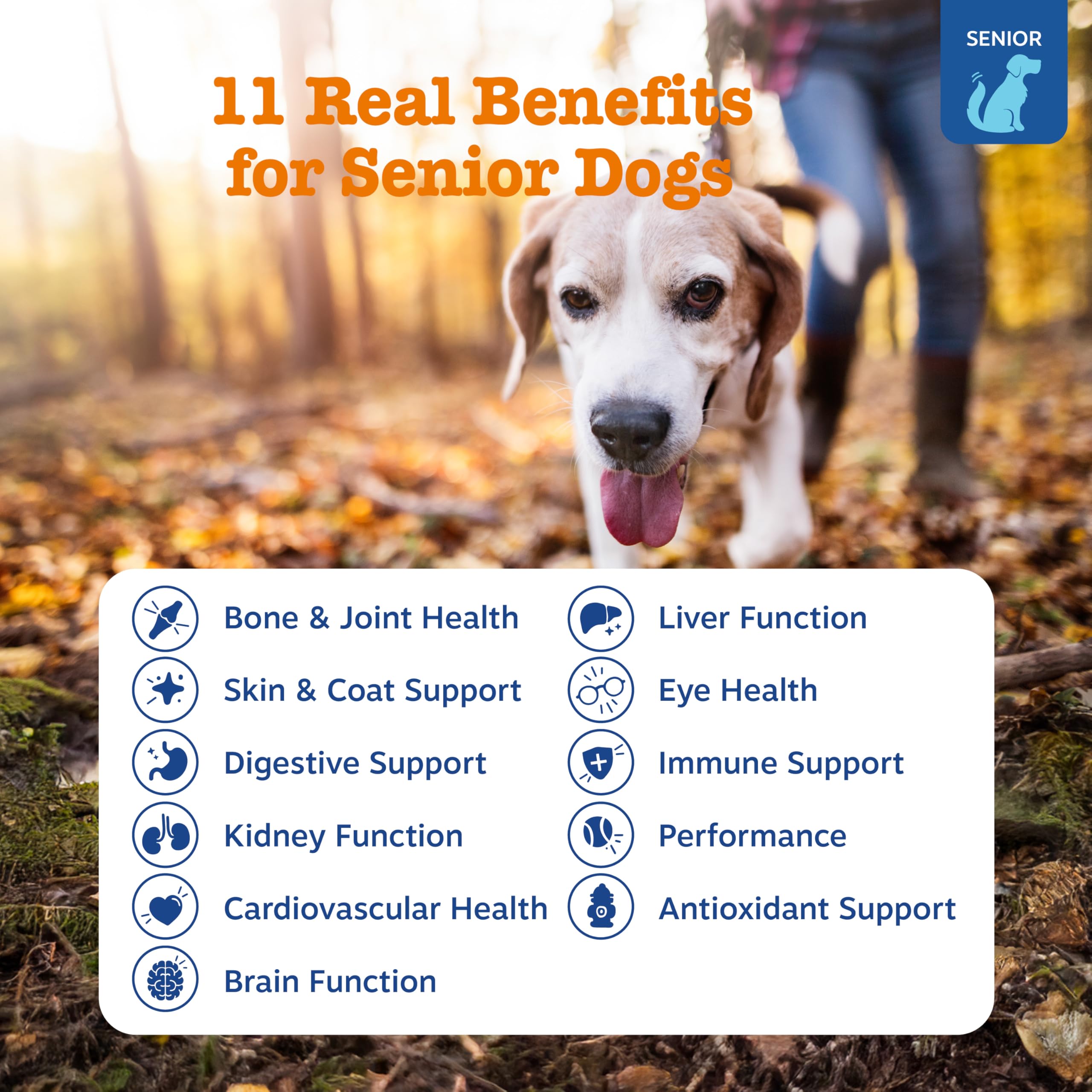 Zesty Paws Senior Dog Multivitamin Treats close-up chews show joint-friendly ingredients for mobility.