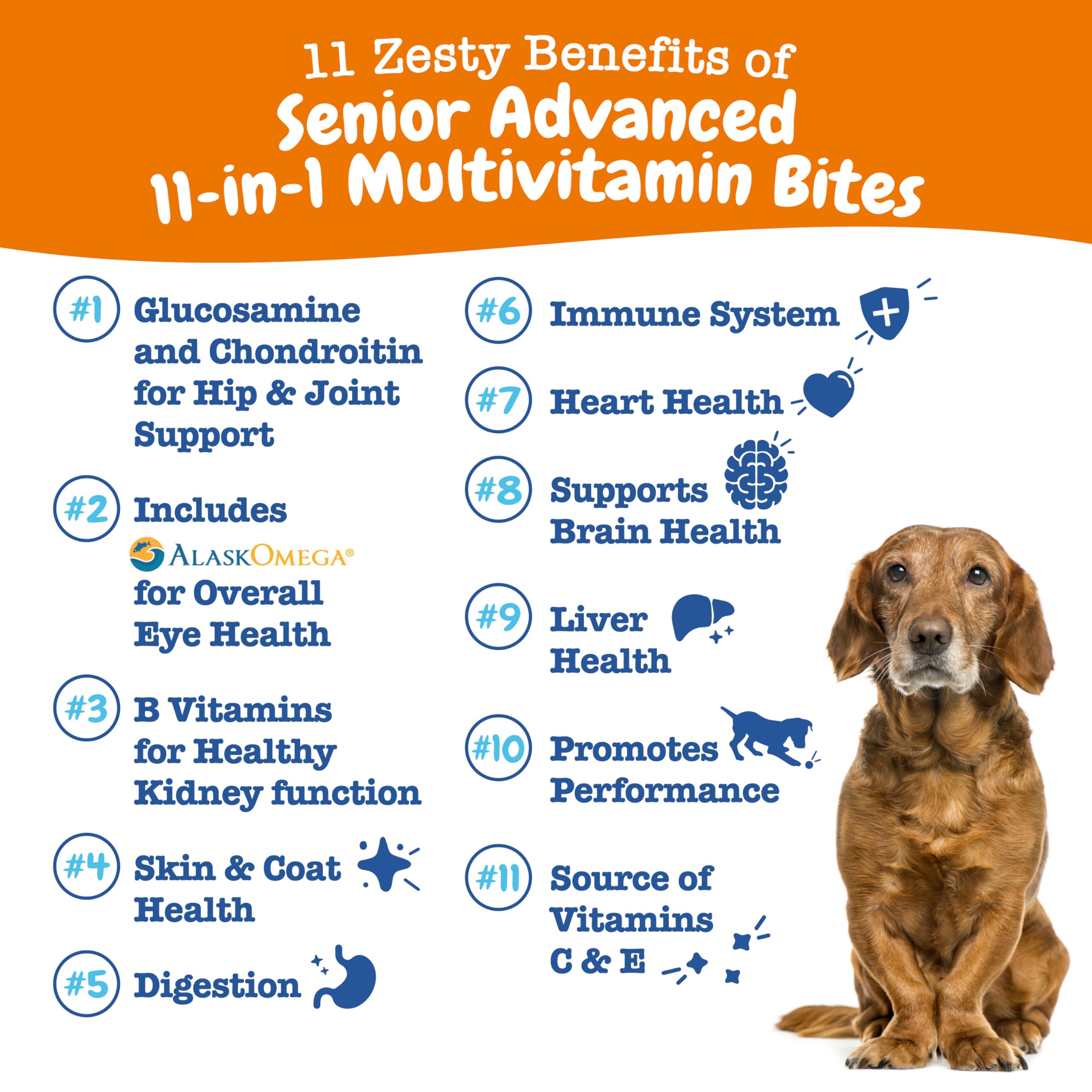 Zesty Paws Senior Dog Multivitamin Treats chews-closeup highlighting tasty senior nutrition for joints