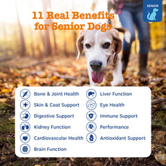 Zesty Paws Senior Dog Multivitamin Treats close-up chews show joint-friendly ingredients for mobility.