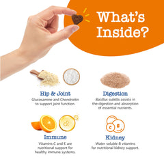 Zesty Paws Senior Dog Multivitamin Treats CoQ10-Lutemax label emphasizing heart and brain support