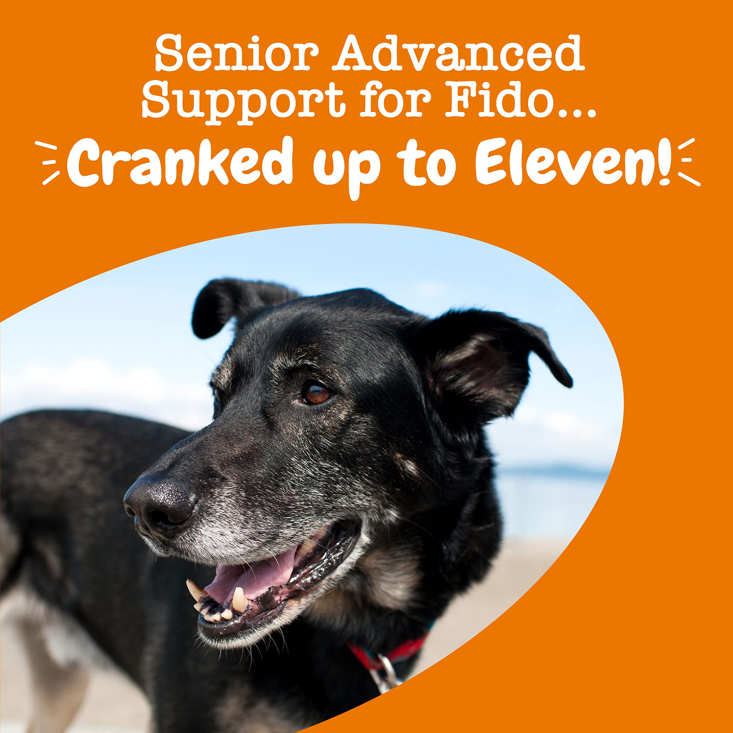 Zesty Paws Senior Dog Multivitamin Treats digestion-immune-bladder image illustrating cranberry and psyllium benefits