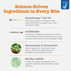 Zesty Paws packaging front view communicates 90 count beef flavored grain-free design for senior dogs.