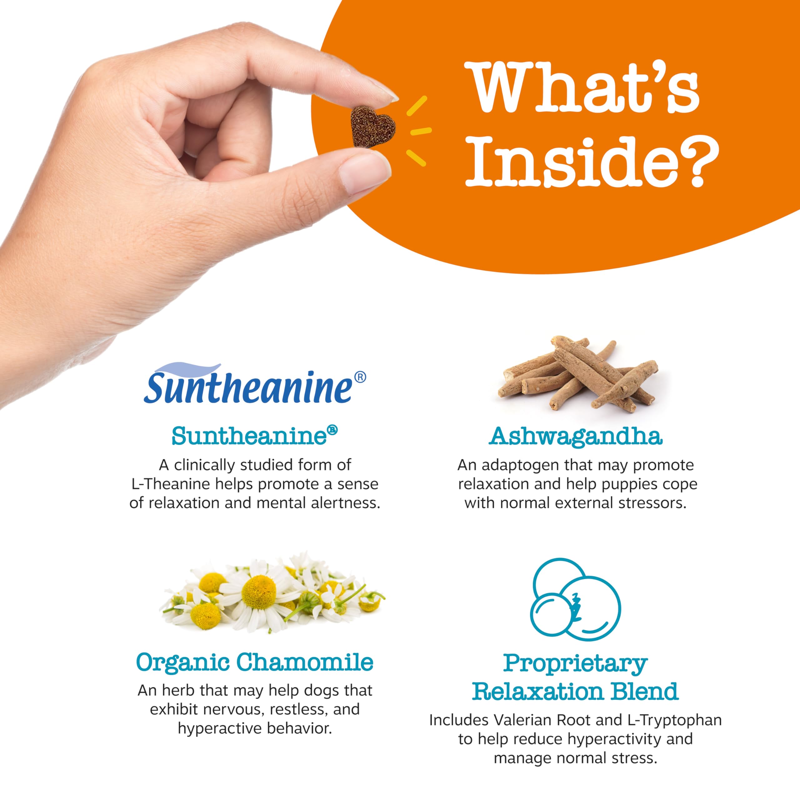 Zesty Paws Sensoril Ashwagandha section shows stress coping support for dogs.