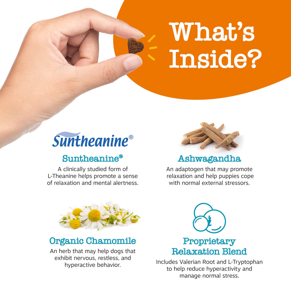 Zesty Paws Sensoril Ashwagandha section shows stress coping support for dogs.