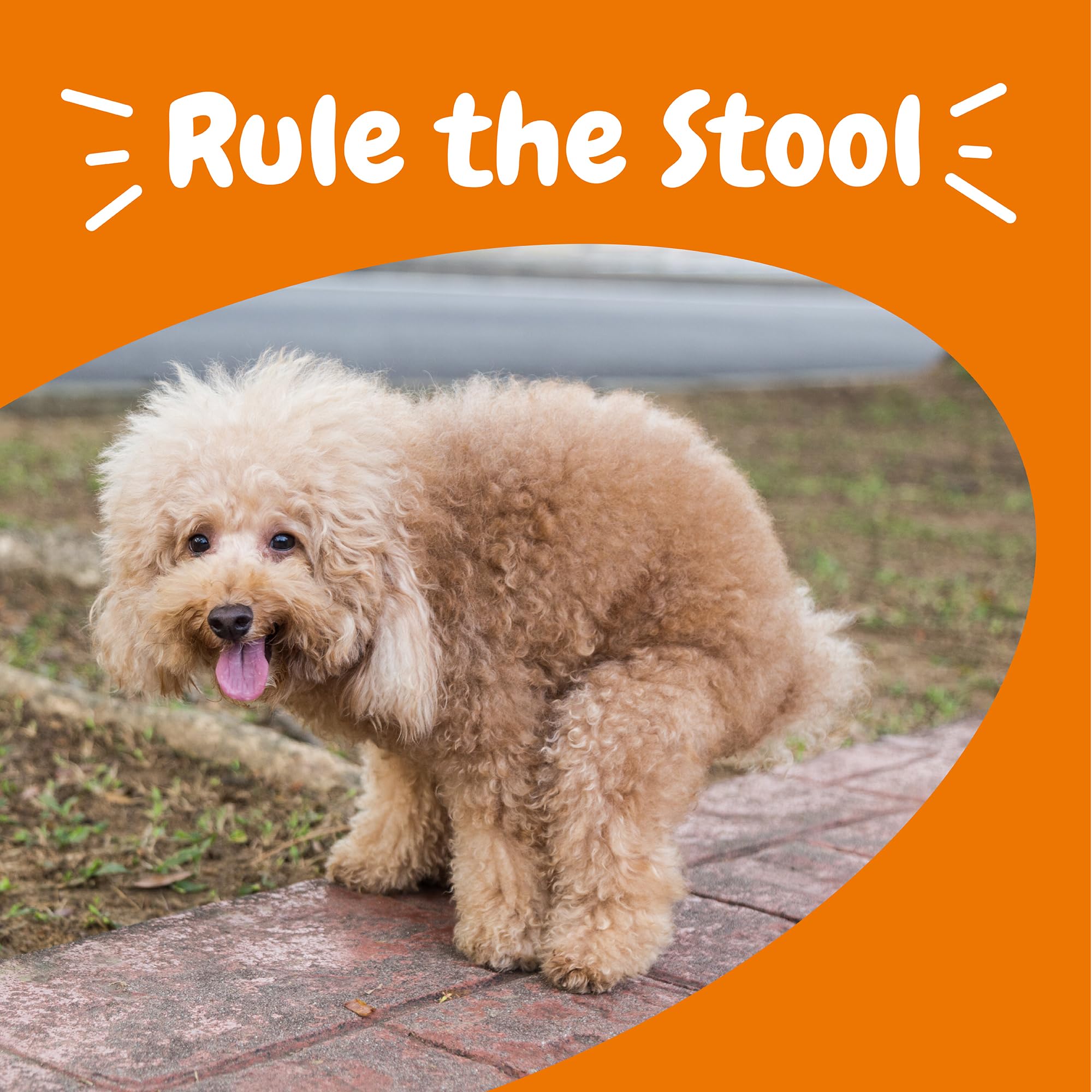 Zesty Paws Solid Poop Support Bites in a dog bowl for daily use