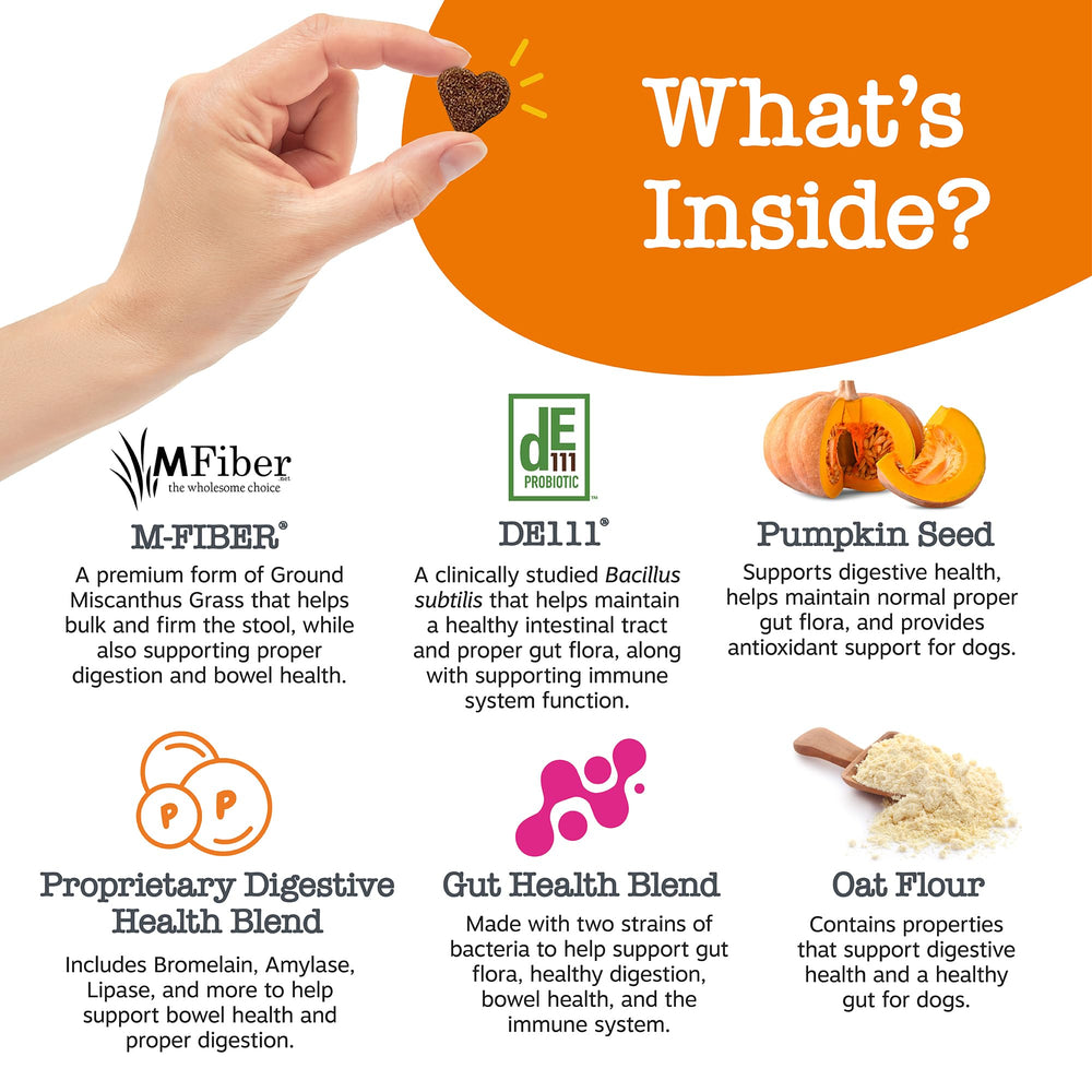 Zesty Paws pumpkin seed ingredient detail for digestive comfort and fiber