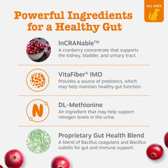 Zesty Paws Stay Green Bites box by the lawn; helps manage grass burn spots.