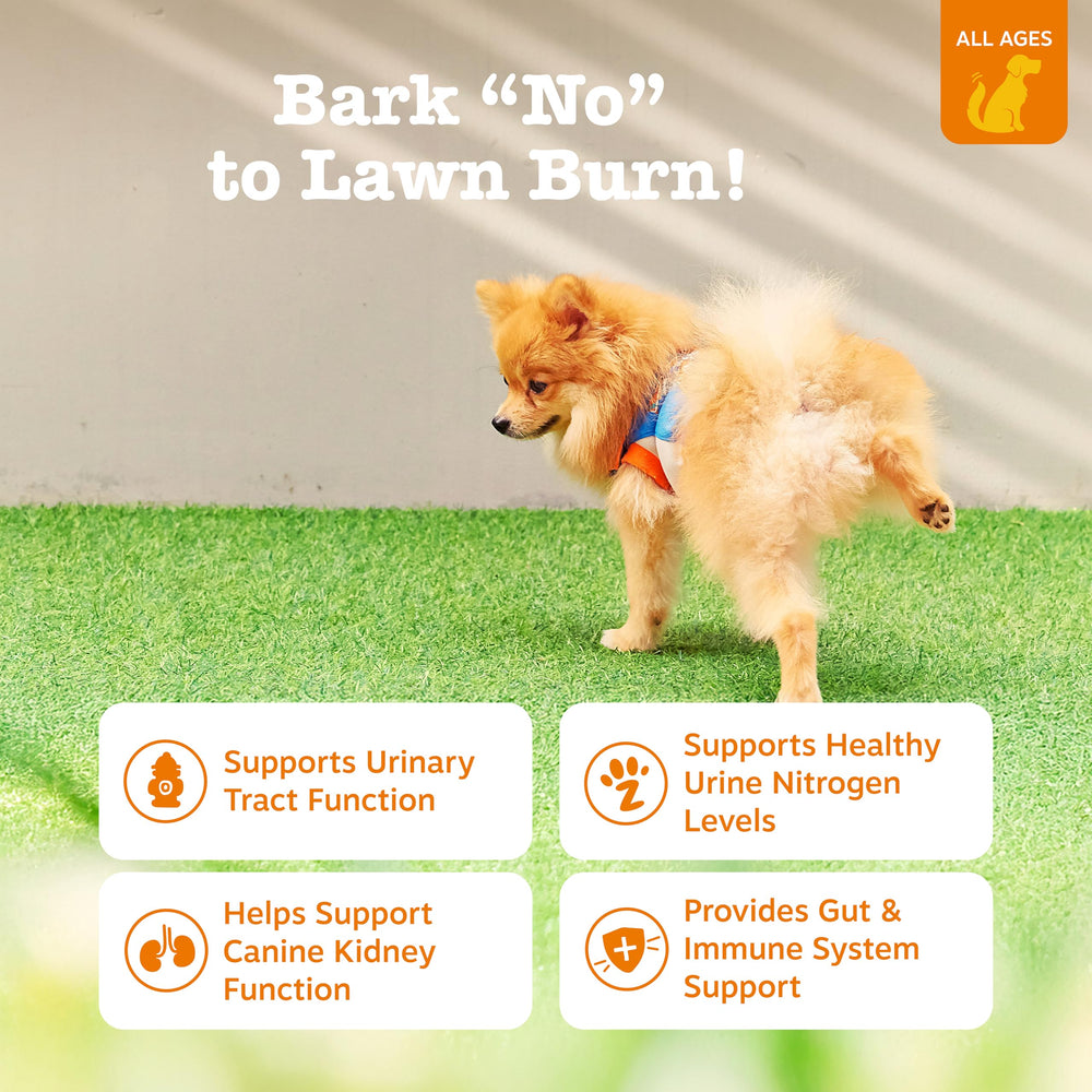 Zesty Paws Stay Green Bites cranberry-urinary support visual highlighting kidney and bladder care.