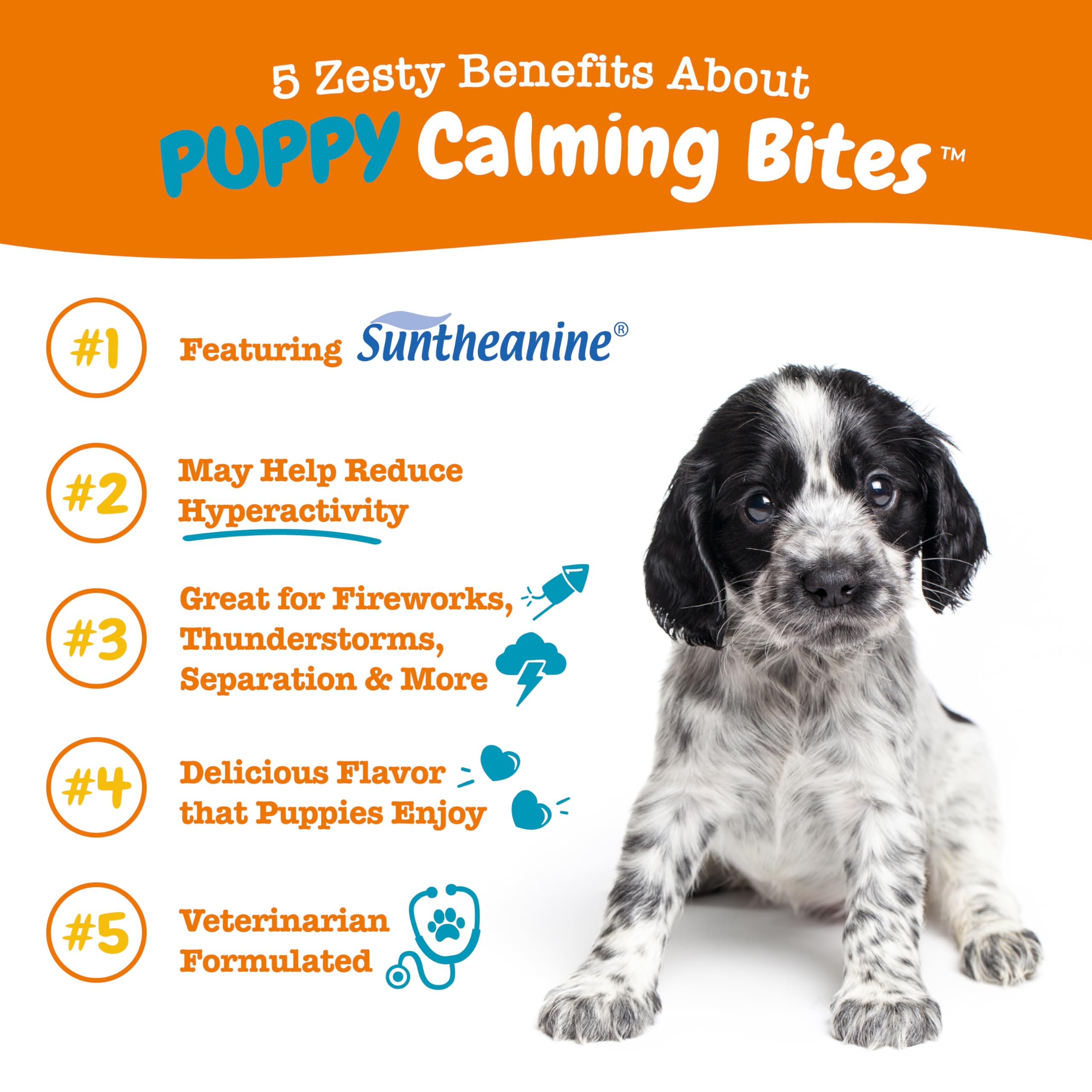 Zesty Paws Suntheanine label highlights L-Theanine for calmness.
