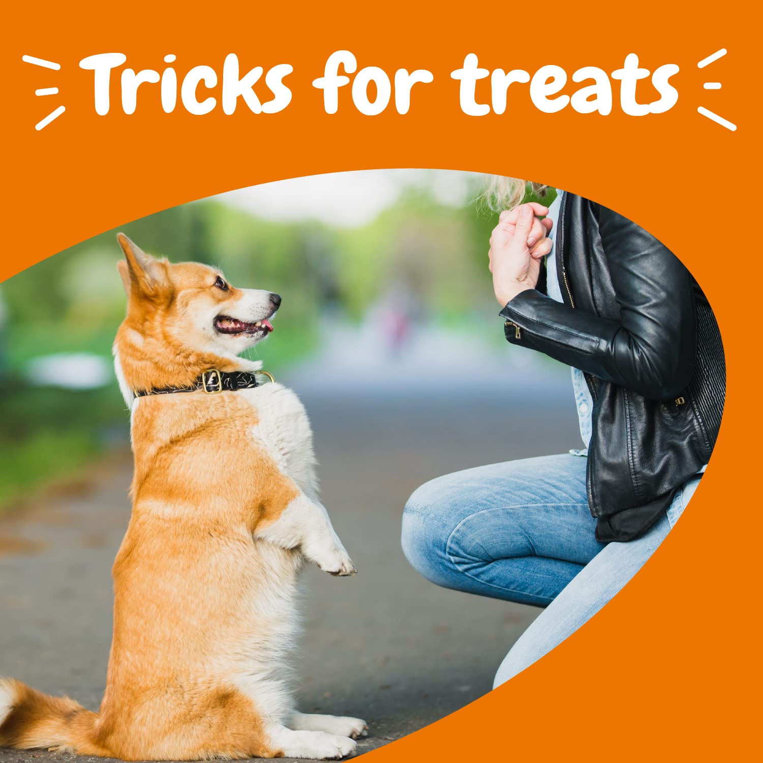 Zesty Paws treats for all breeds—versatile rewards during training and daily routines.