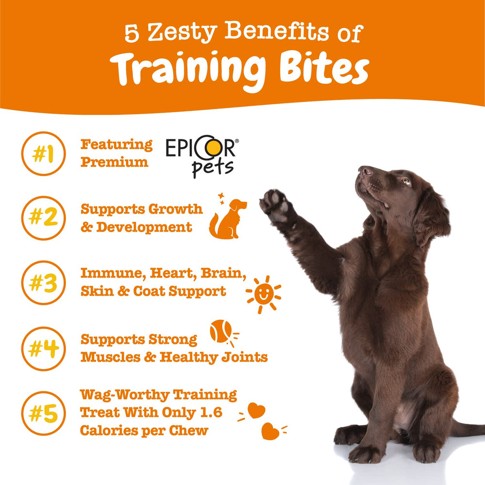 Zesty Paws training treats puppy training session—boosts early obedience and bonding.