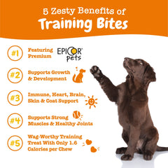 Zesty Paws training treats puppy training session—boosts early obedience and bonding.