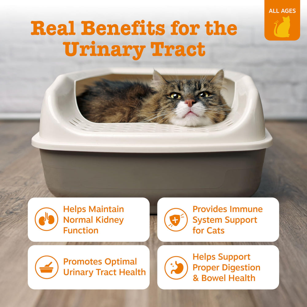 Zesty Paws Urinary Tract Cat Mousse chicken-taste squeeze for easy administration.