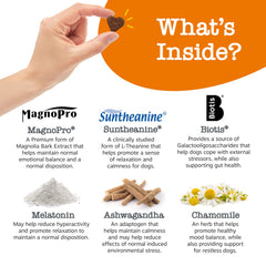 Serving dish of Zesty Paws Vet Strength Calming Chews for everyday calm