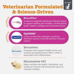 Zesty Paws Vet Strength Mobility Bites with glucosamine HCl for joint lubrication and health.