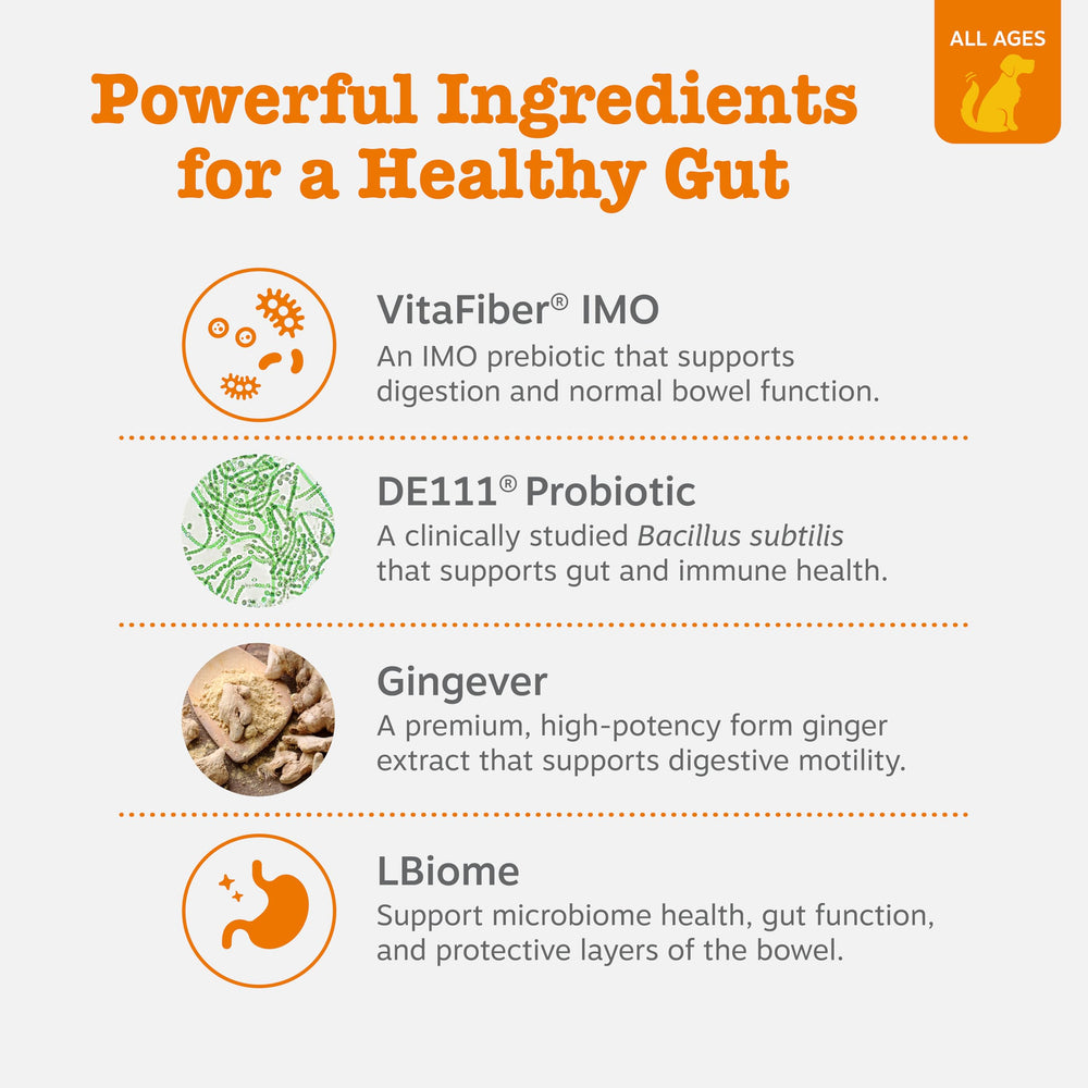 Zesty Paws Vet Strength Probiotics bottle label highlighting gut health support.