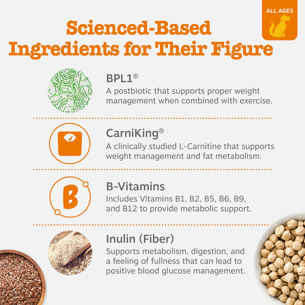 Zesty Paws Weight Management Bites dog eating—mealtime integration.