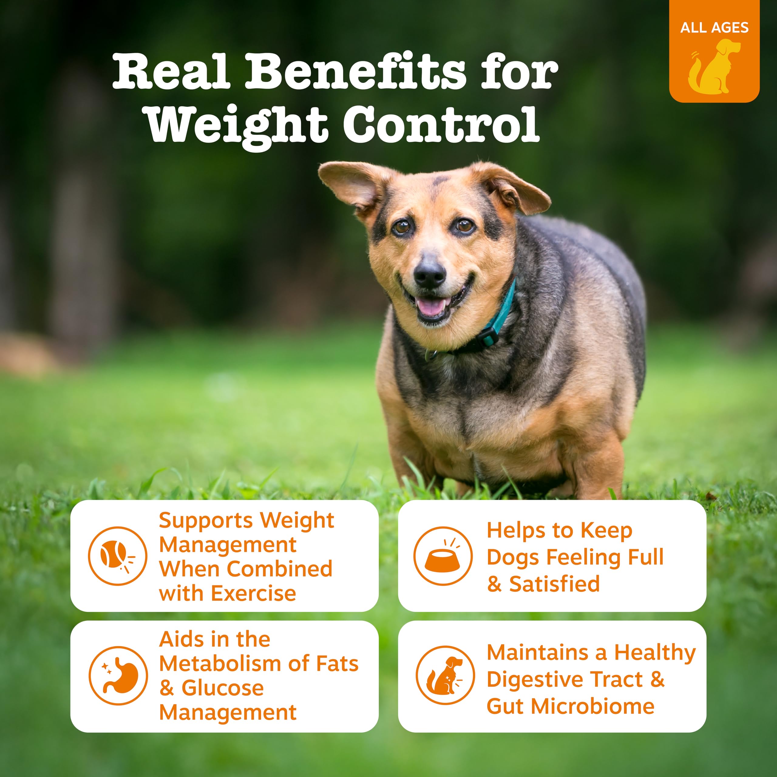 Zesty Paws Weight Management Bites soft chews closeup—dog-friendly texture and flavor.