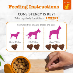 Zesty Paws dog coat shine image signaling moisturized, vibrant fur.