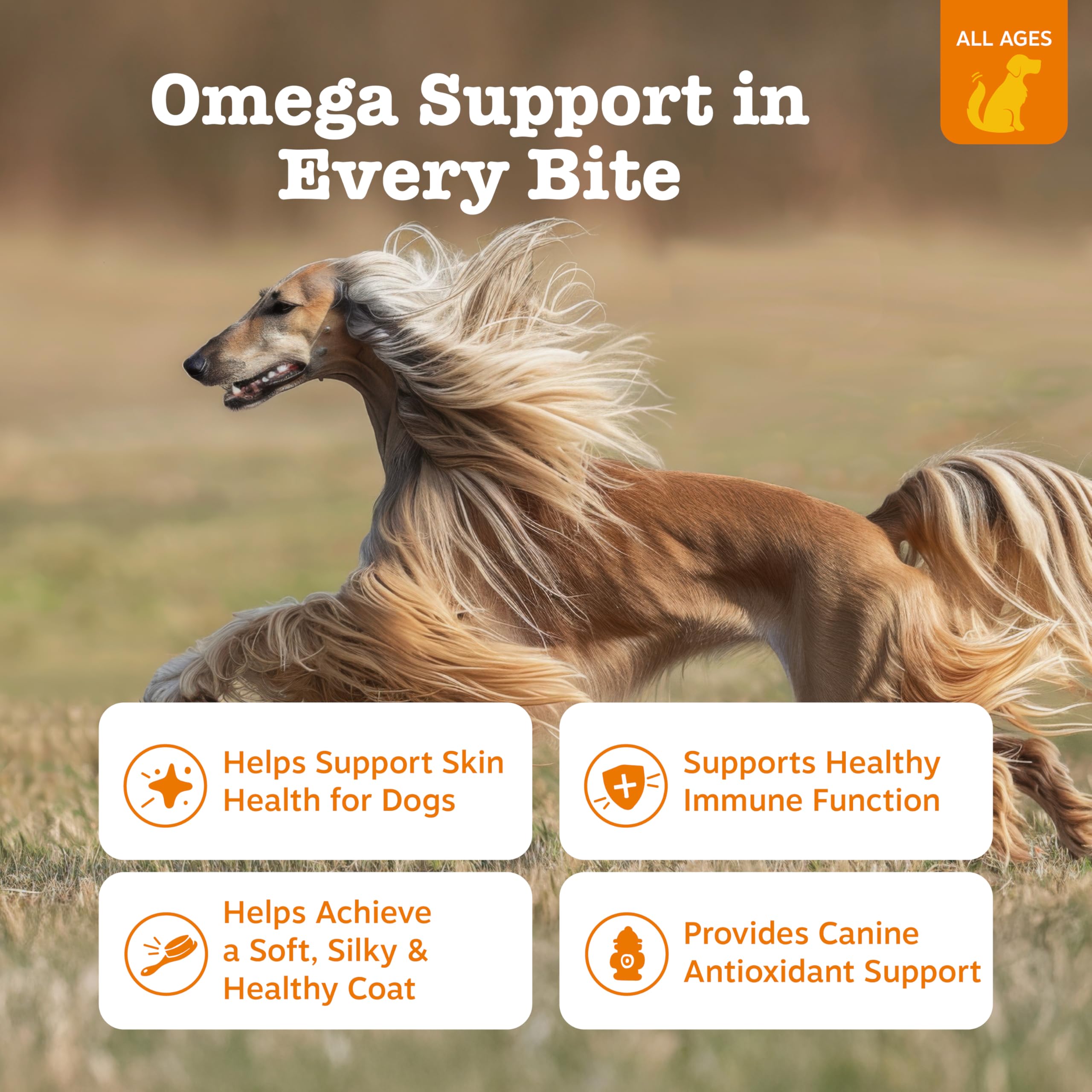 Dog enjoying Zesty Paws Omega-3 chews as a tasty daily snack