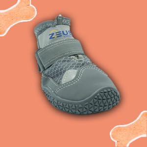 ZEUS URBAN dog boots protect paws from hot pavement and challenging surfaces.