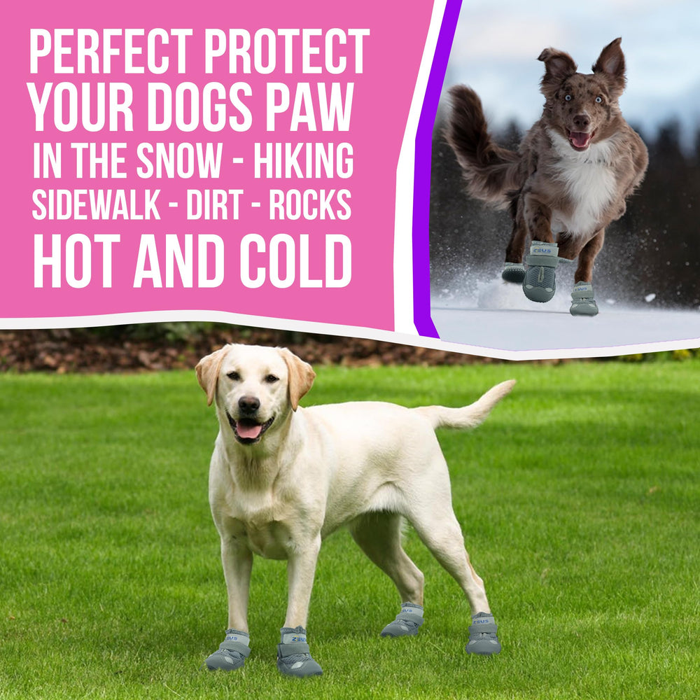 ZEUS URBAN dog boots suitable for indoor and outdoor use to protect paws and floors.